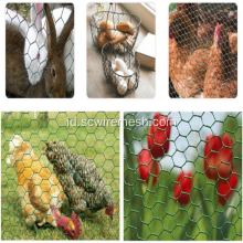 Ayam dan Kelinci SS Hexagonal Wire Mesh